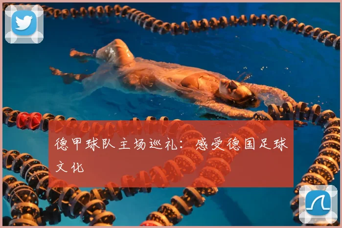 德甲球队主场巡礼：感受德国足球文化