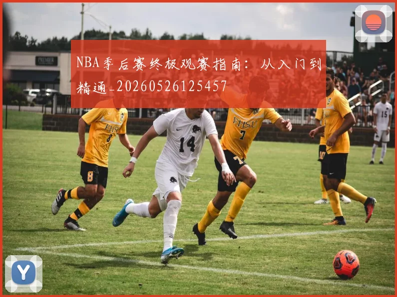 NBA季后赛终极观赛指南：从入门到精通_20260526125457