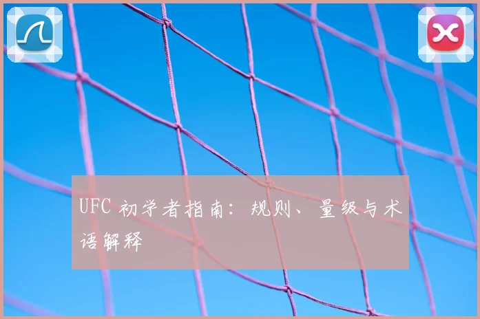 UFC 初学者指南：规则、量级与术语解释